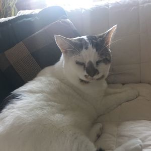 Meet your Posher, Sherry